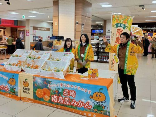 みかんの販売