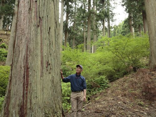 各種研修を受けられる他、相談できる自伐型林業実践者たちも近くに居ます！
