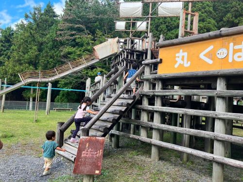 のびのび遊べる