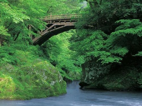 四季折々の表情を見せる「鶴仙渓」