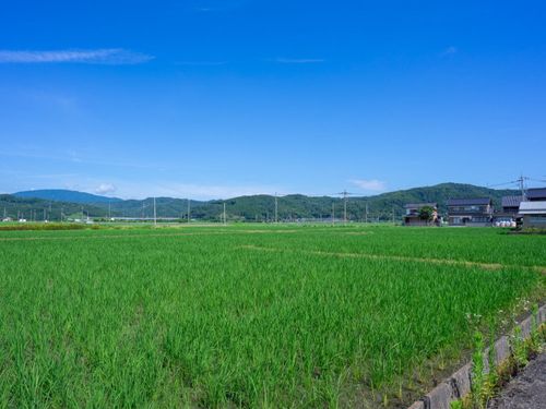 物件裏手に広がる田園と山並み