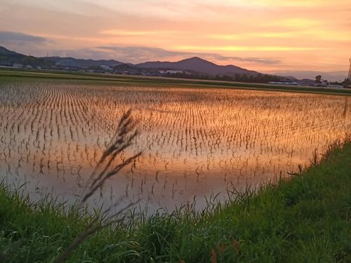 この農地・農村を誰が守っていくのか