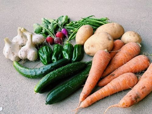 まずは一度竜王の野菜を食べてみませんか？