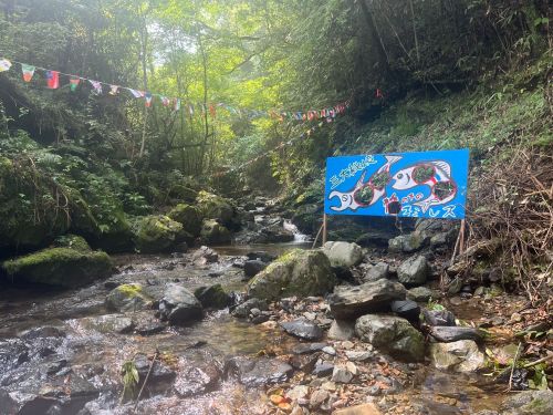 川辺は浅いところ深いところ両方あります