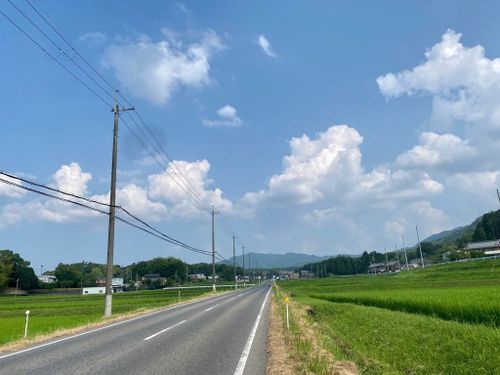 奥こんぜへ向かう途中の景色