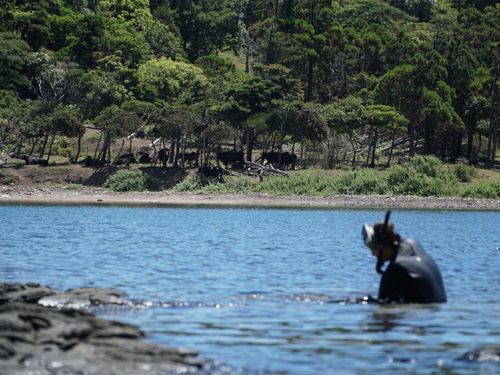 自然の恵みを、スタッフ自ら収穫