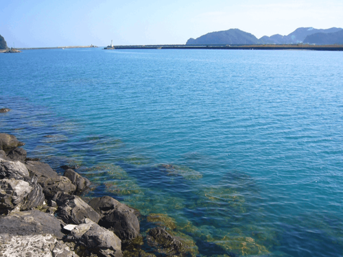 宇佐の海