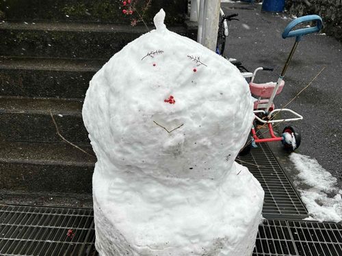島の小学生作、ゆきだるま。がんばって作ってました。
