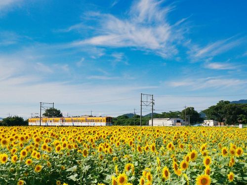 美しい田園風景とガチャコンのコラボ