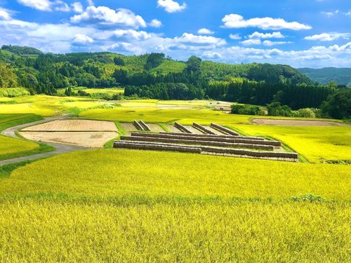 里山の風景
