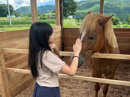 日常的に馬とふれあう暮らし