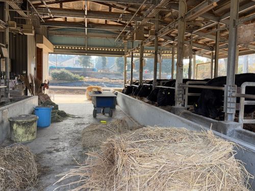 家畜の飼育を通じて畜産を専門的に学びます！