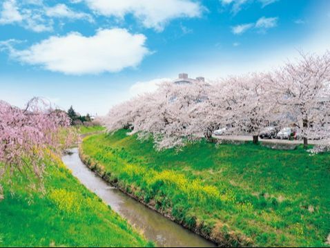 茂原市の風景
