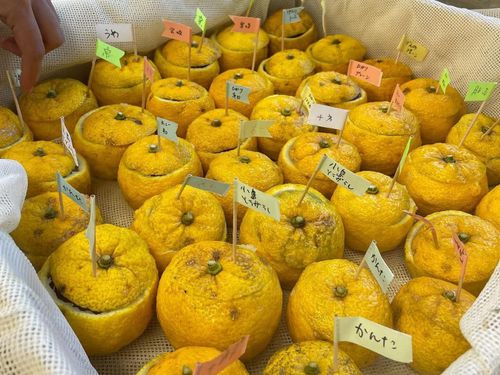 参加者それぞれの柚餅子が完成！