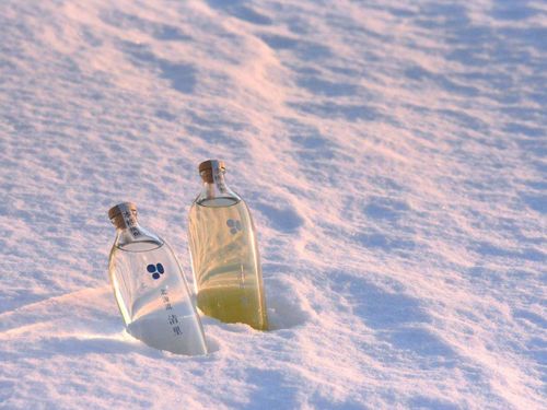 今年で50周年を迎える「清里じゃがいも焼酎」