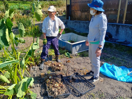 畑に足を運び地元農家さんと信頼を育む