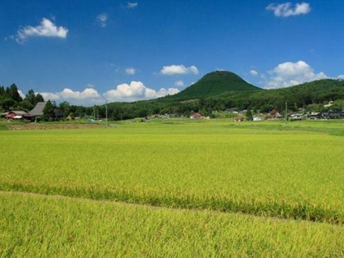 農業が身近にあるまちです。