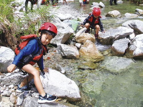 山から流れ出る川の水は夏でも冷たい！河原にはたくさんの発見があります