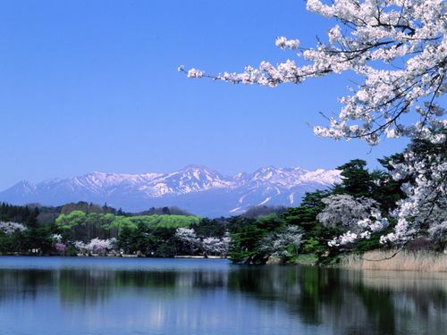 日本最古の公園といわれている「南湖公園」