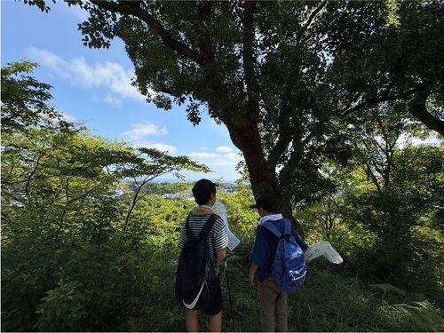夏は近所の衣笠山へカブトムシを採りに。奥には海も見えます。