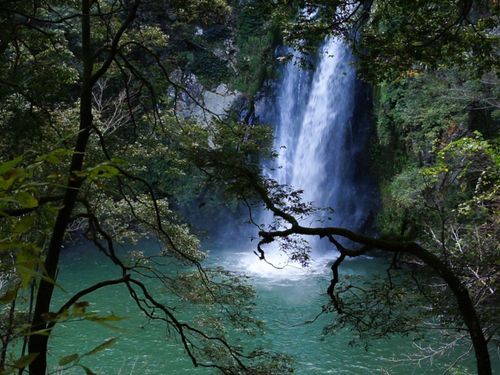 物件から徒歩１分の「八反の滝」