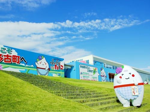 多くの方が訪れる道の駅多古「あじさい館」とふっくらたまこさんです！