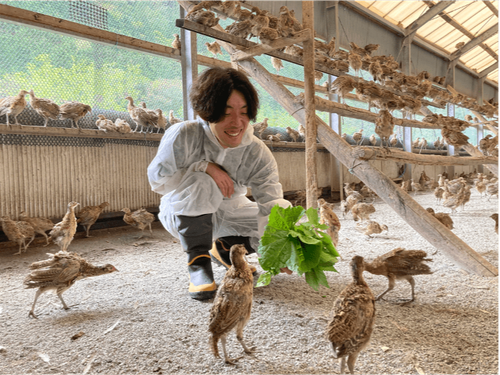 本川手箱きじ生産企業組合での活動