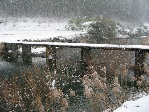 冬の大野見地区。寒さが厳しい時期では雪が積もります。