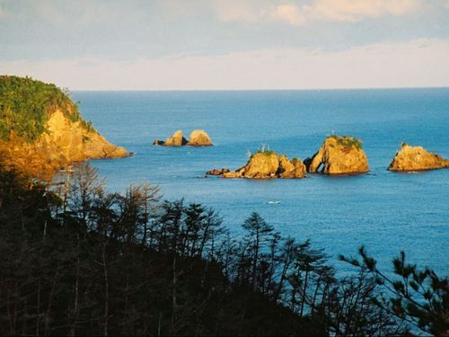 田万川（八幡）地域は山も海も近い場所◎