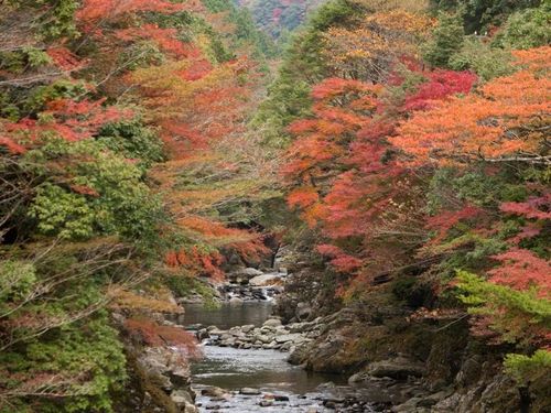 汗見川の紅葉