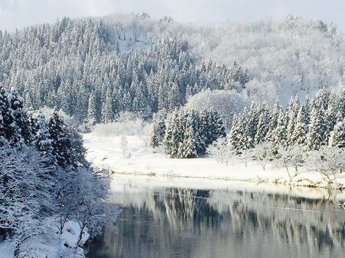 冬の最上川❄