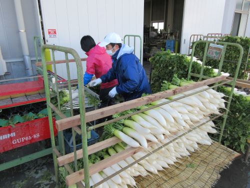 農作業の様子