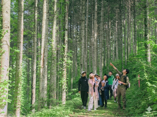 都会の喧騒を離れて、下川の木漏れ日あふれる森と一体になる特別な時間