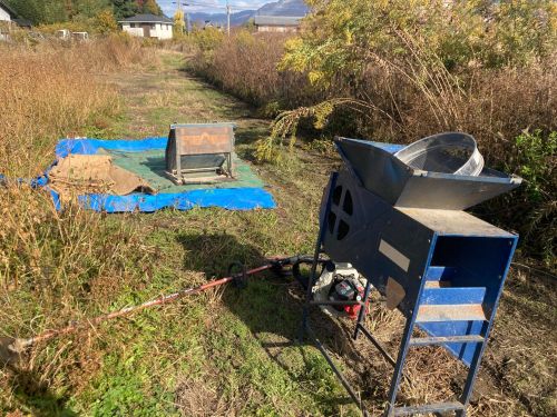 唐箕と足踏み脱穀機でそばの実の状態に