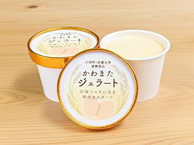 近畿大学が共同開発している「かわまたジェラート」の試食会（写真提供：近畿大学）