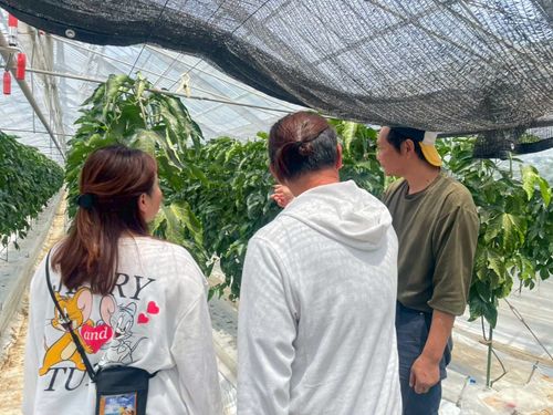 就農希望の佐藤さんご夫妻は、地域の農家の圃場見学やアドバイスもいただきました！