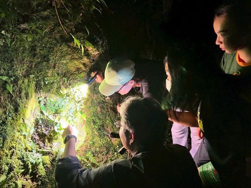 山の中で夜の生態系を観察（提供：野崎真）