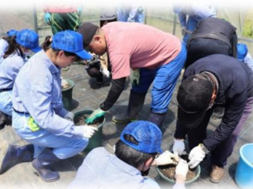 専門教科「農業」 の地元との連携授業。