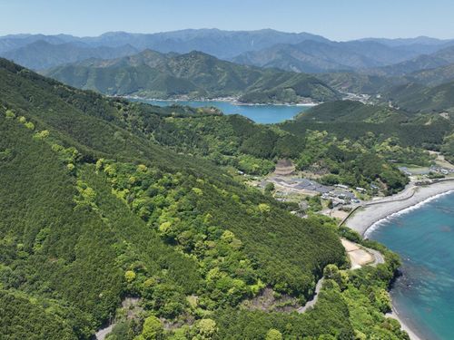 海が見える環境で林業を体験してみませんか？？