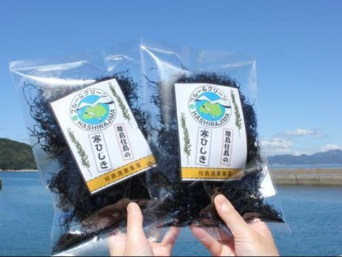 【岩国市☆柱島】特産品の寒ひじき