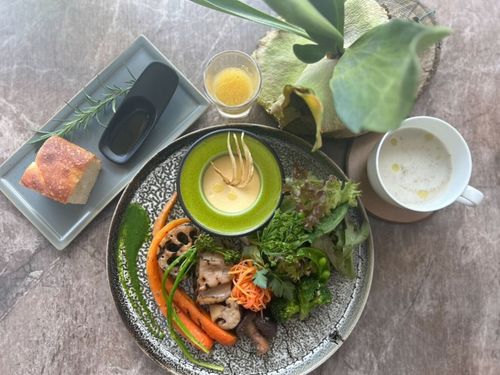 お皿一面に野菜をしきつめたhippoプレート！看板メニューです。