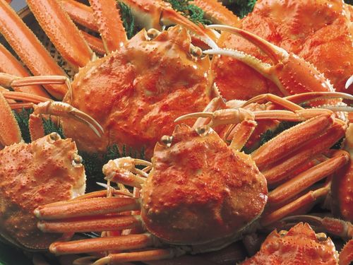冬の味覚の王様！蟹の地元価格は？