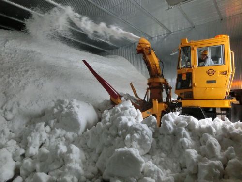 積雪を利用した予冷施設「雪室」の雪入れの様子