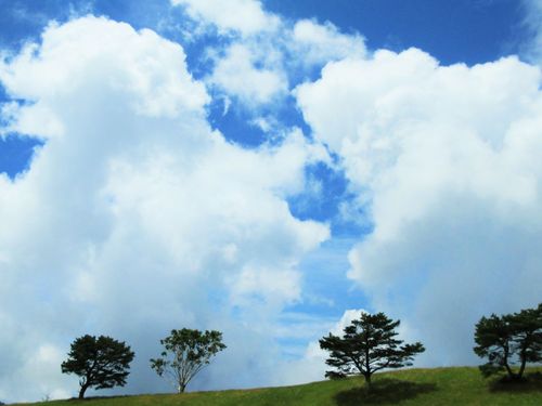 空が広いです、とっても！