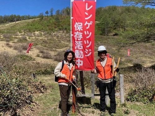 環境保全の一環としてレンゲツツジ保存会の活動も行っています。