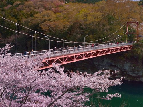 桜淵公園（新城市）