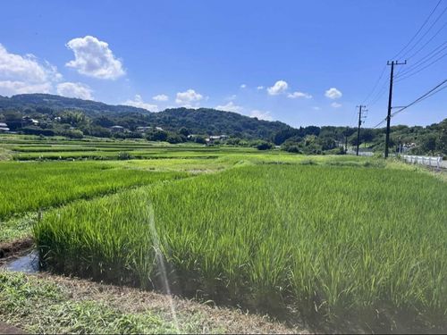 実際に訪れる場所①（神奈川県大井町）