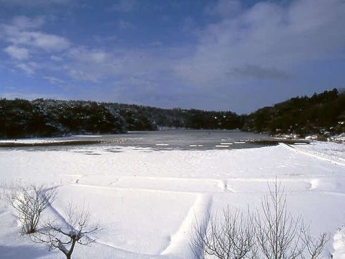 片野鴨池