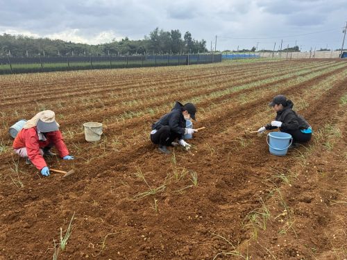 移住後は農業を―そんな方にぴったりの農作業体験もご用意