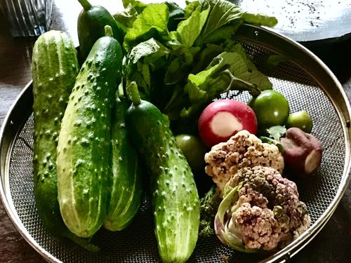とれたての野菜のおいしさ、味の濃さに驚きます！